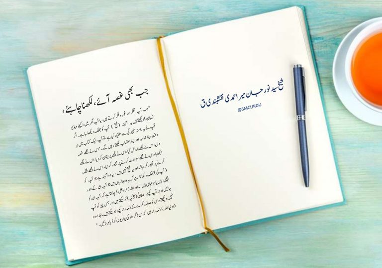 Ourdou – Réalité d'un miroir | Sayedna Khidr [AS] est un guide invisible