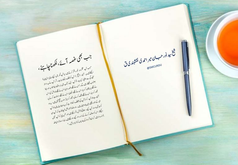 Ourdou – Réalité d'un miroir | Sayedna Khidr [AS] est un guide invisible