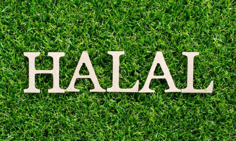Musulman en Allemagne: la Haute Cour européenne légalise l'interdiction de l'abattage d'animaux halal et casher