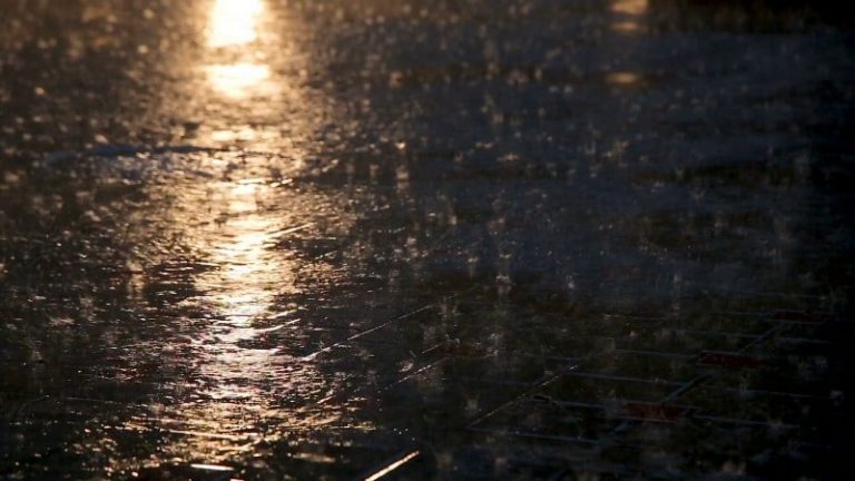 Jour des chiens, 17e partie: bataille sur le pont