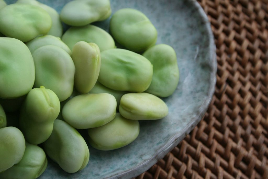 Haricots Fava