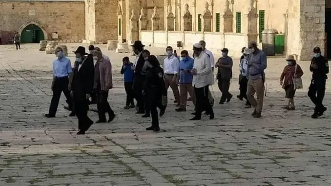 91 colons israéliens illégaux attaquent la mosquée Al-Aqsa
