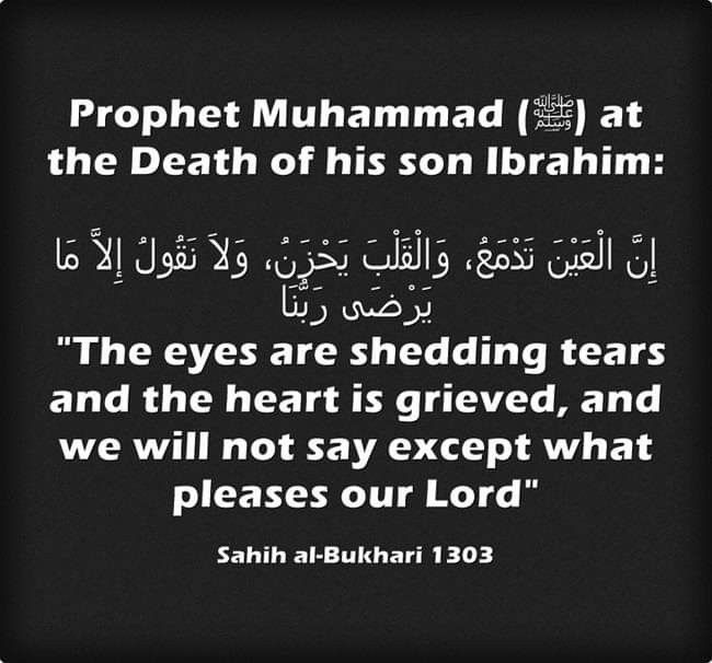 prophète muhammad hadith sur la mort d'ibrahim ibn muhammad