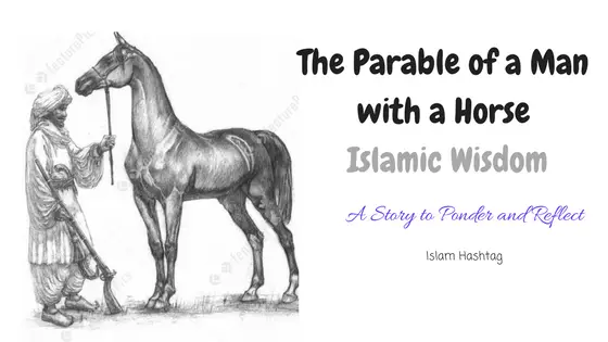 La parabole d’un homme avec un cheval -Réflexion islamique 03