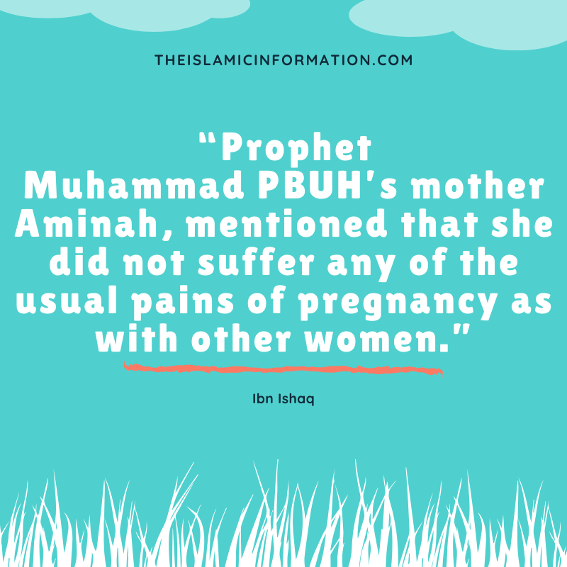 Choses à savoir sur la naissance du Prophète Muhammad PBUH 10 Prophète Naissance Grossesse Hadith