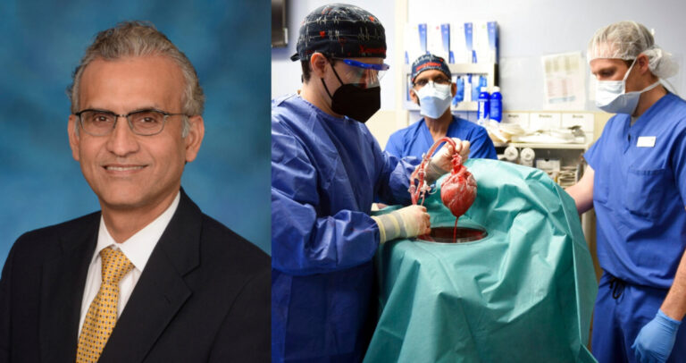 Un médecin musulman contribue à la première transplantation cardiaque porc-humain au monde