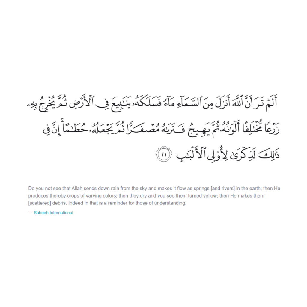 Sourate Az Zumar verset 21