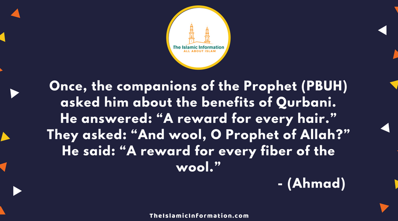 HADITHS Qurbani (Zabihah)