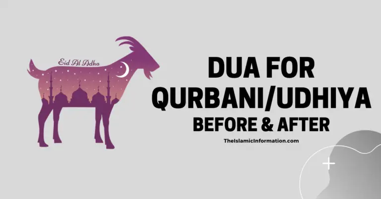 Dua pour Qurbani / Udhiya, Dua à réciter avant et après le sacrifice