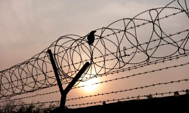 Guantanamo Bay : passé et présent