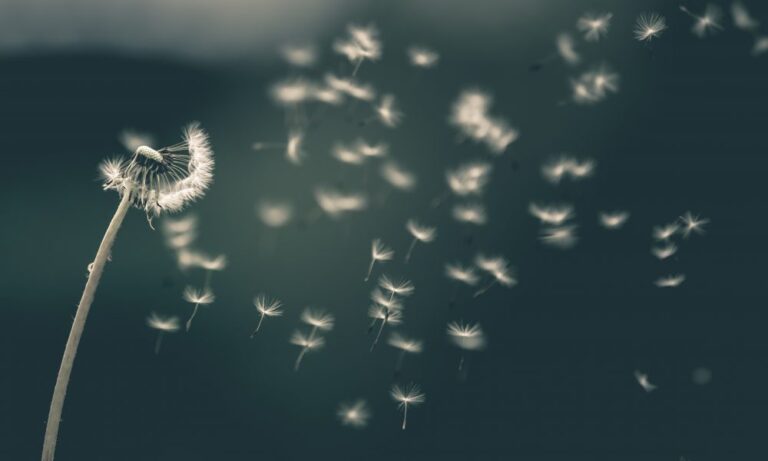 Réflexion sur les hadiths : « Moïse a été abusé plus que cela… » I Sh Mohammad Elshinawy