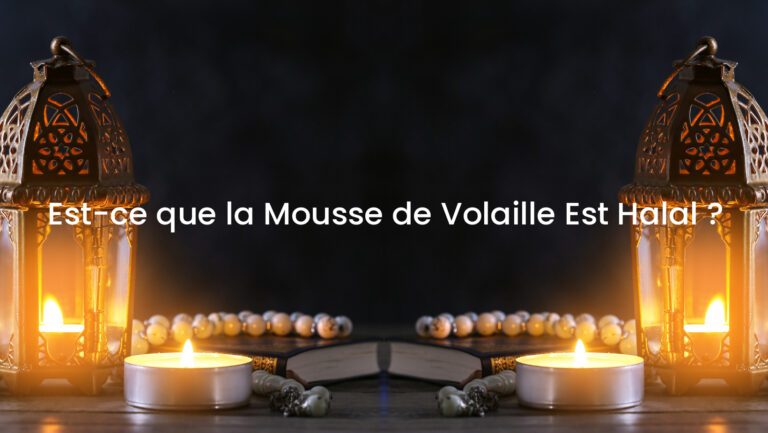 Est-ce que la Mousse de Volaille Est Halal ?