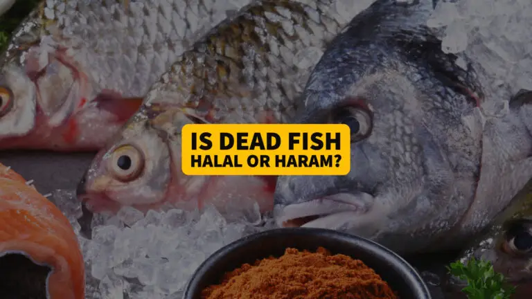 Le poisson mort est-il halal ?  Les musulmans peuvent-ils en manger ?  2023