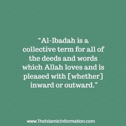 Cheikh ul-Islam Ibn Tayimah ibadahs