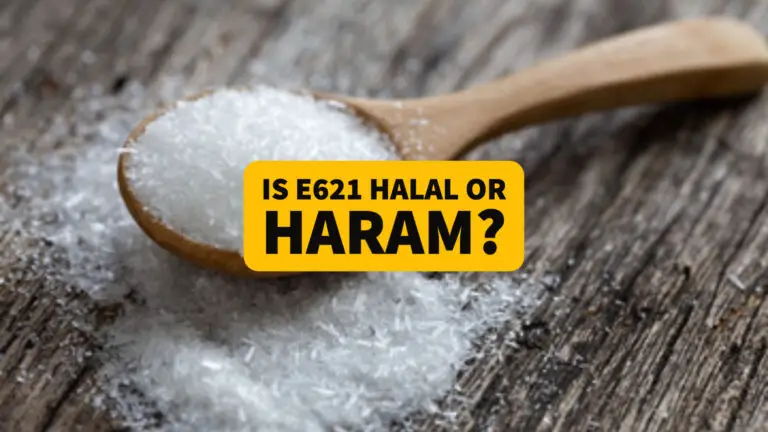 Est-ce que E621 est Haram dans l’Islam ?  Les musulmans peuvent-ils en manger ?  2023