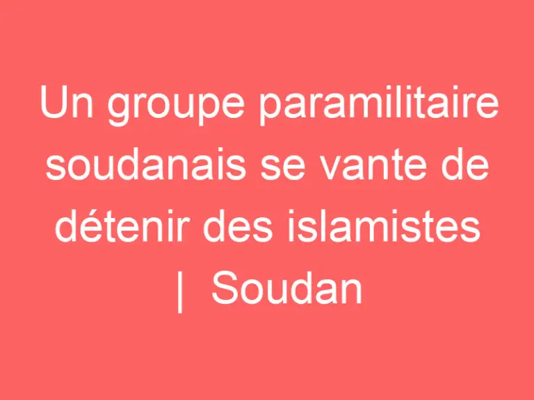 Un groupe paramilitaire soudanais se vante de détenir des islamistes |  Soudan