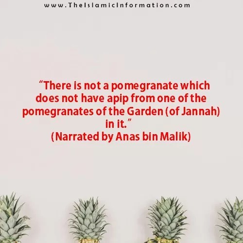 Sunna sur les GRENADES