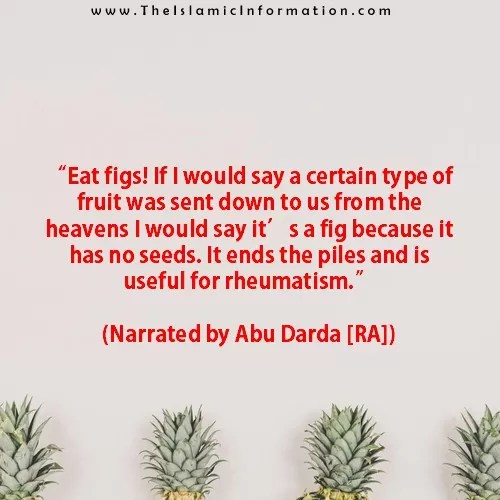 Sunna sur les figues