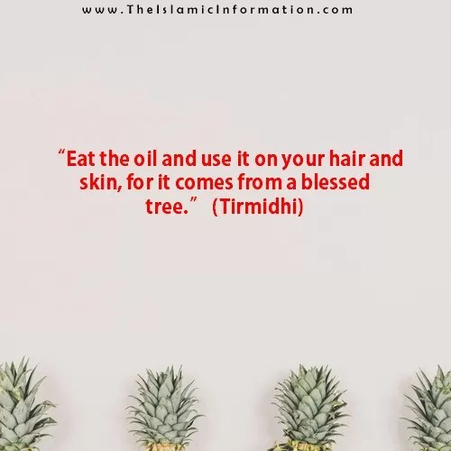 sunna sur les olives