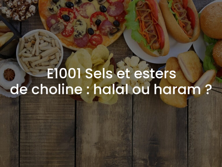 E1001 Sels et esters de choline : halal ou haram ?