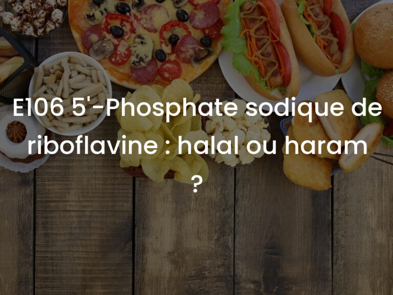 E106 5&prime;-Phosphate sodique de riboflavine : halal ou haram ?