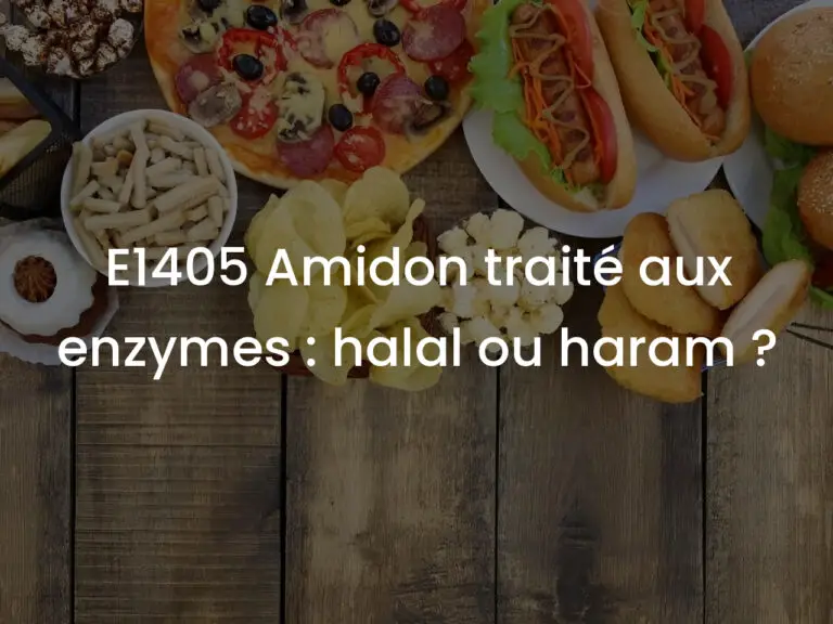 E1405 Amidon traité aux enzymes : halal ou haram ?