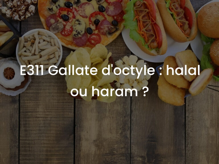E311 Gallate d&rsquo;octyle : halal ou haram ?