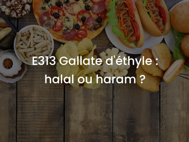 E313 Gallate d&rsquo;éthyle : halal ou haram ?