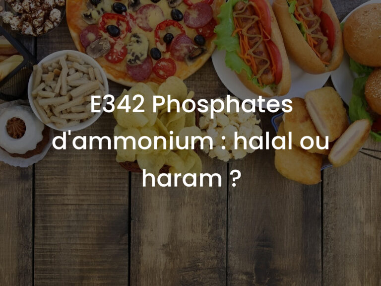E342 Phosphates d&rsquo;ammonium : halal ou haram ?