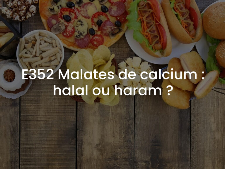 E352 Malates de calcium : halal ou haram ?