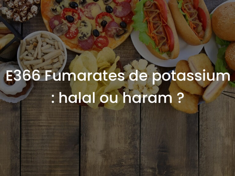 E366 Fumarates de potassium : halal ou haram ?