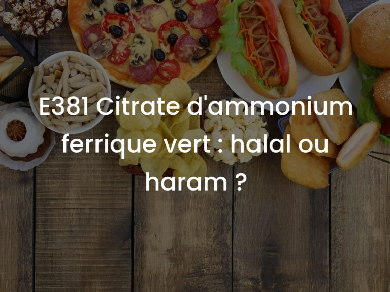 E381 Citrate d&rsquo;ammonium ferrique vert : halal ou haram ?