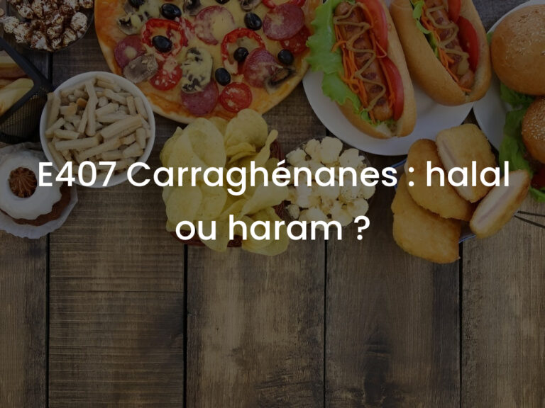 E407 Carraghénanes : halal ou haram ?