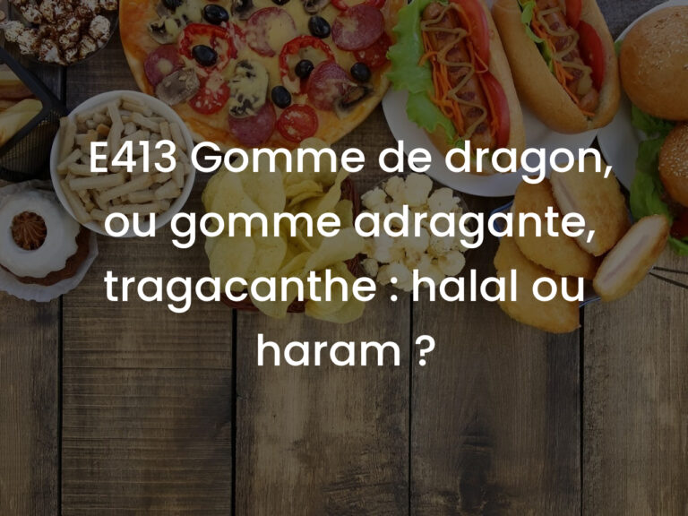 E413 Gomme de dragon, ou gomme adragante, tragacanthe : halal ou haram ?