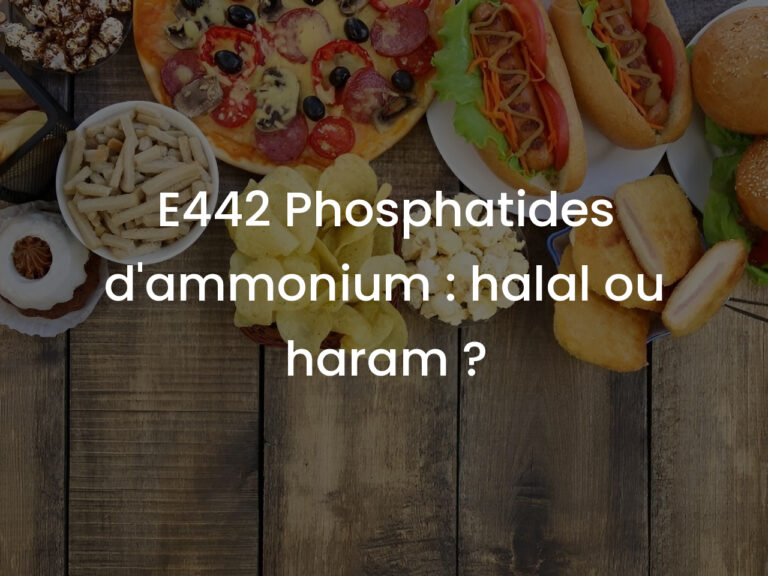 E442 Phosphatides d&rsquo;ammonium : halal ou haram ?
