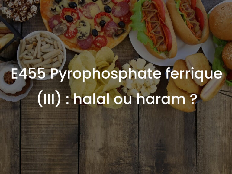 E455 Pyrophosphate ferrique (III) : halal ou haram ?