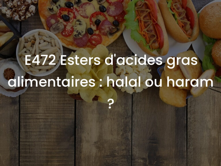 E472 Esters d&rsquo;acides gras alimentaires : halal ou haram ?