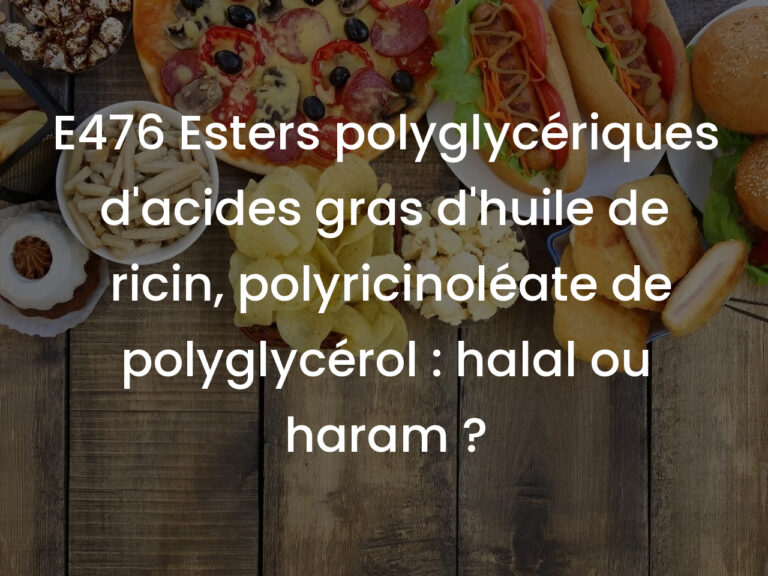 E476 Esters polyglycériques d&rsquo;acides gras d&rsquo;huile de ricin, polyricinoléate de polyglycérol : halal ou haram ?