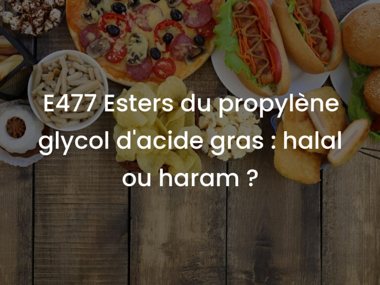 E477 Esters du propylène glycol d&rsquo;acide gras : halal ou haram ?