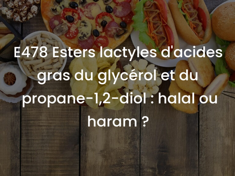 E478 Esters lactyles d&rsquo;acides gras du glycérol et du propane-1,2-diol : halal ou haram ?