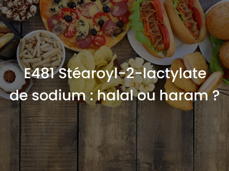 E481 Stéaroyl-2-lactylate de sodium : halal ou haram ?