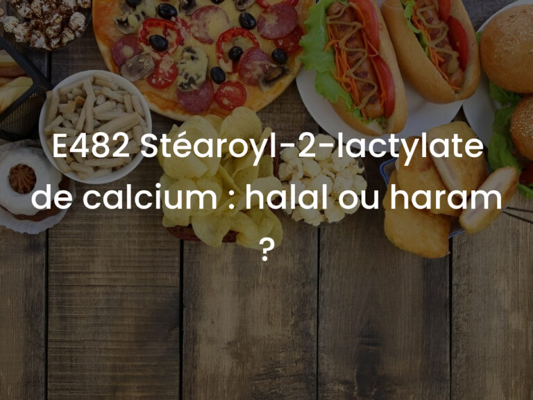 E482 Stéaroyl-2-lactylate de calcium : halal ou haram ?