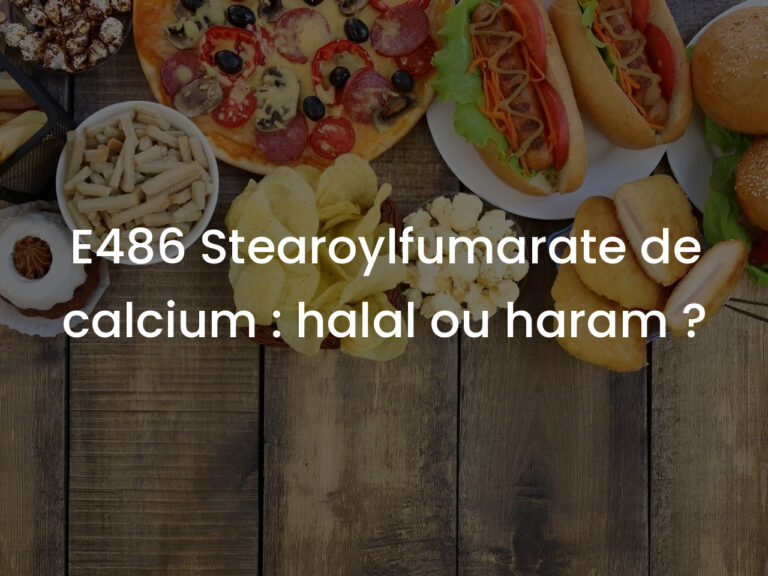 E486 Stearoylfumarate de calcium : halal ou haram ?