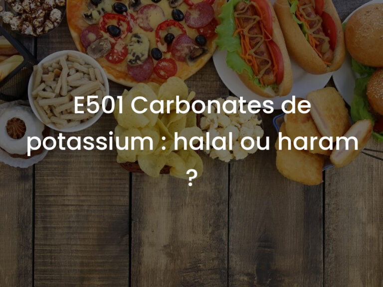 E501 Carbonates de potassium : halal ou haram ?