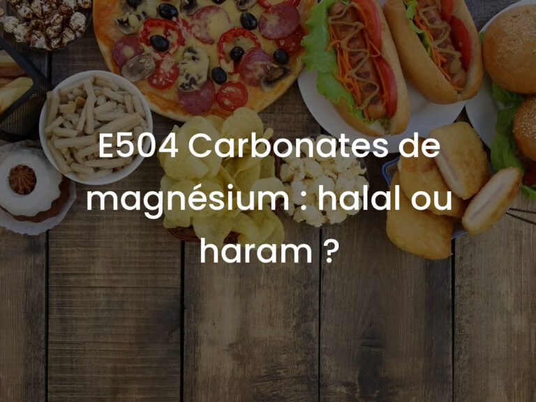 E504 Carbonates de magnésium : halal ou haram ?