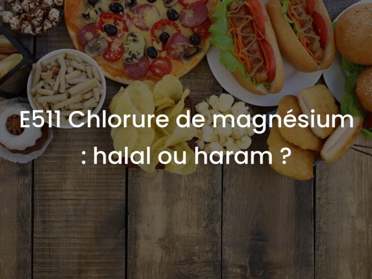 E511 Chlorure de magnésium : halal ou haram ?