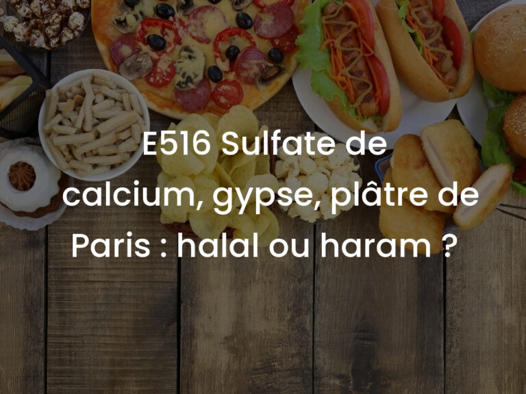 E516 Sulfate de calcium, gypse, plâtre de Paris : halal ou haram ?