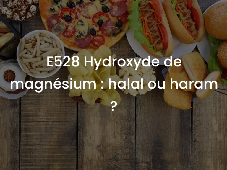 E528 Hydroxyde de magnésium : halal ou haram ?