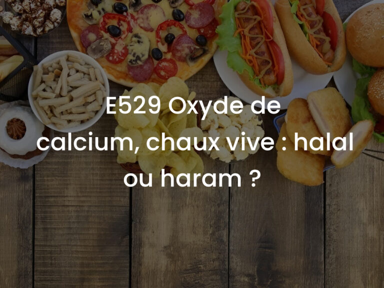 E529 Oxyde de calcium, chaux vive : halal ou haram ?