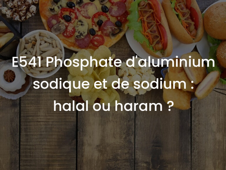 E541 Phosphate d&rsquo;aluminium sodique et de sodium : halal ou haram ?